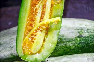 网红吃瓜视频在哪里找到,热门平台及制作技巧大揭秘  第3张